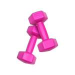 Exercise Dumbbell Weight 2 kg