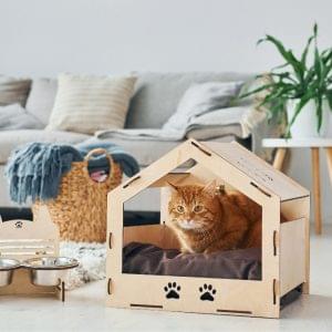 PET CARE